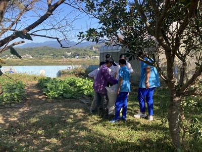 圖片