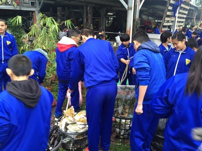 圖片
