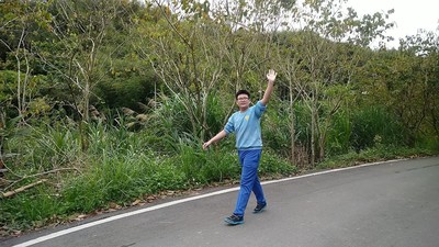 圖片
